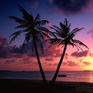 Meet your Posher, Tamia